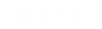 国网中电